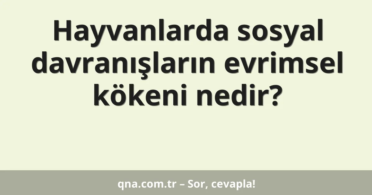 Hayvanlarda sosyal davranışların evrimsel kökeni nedir?