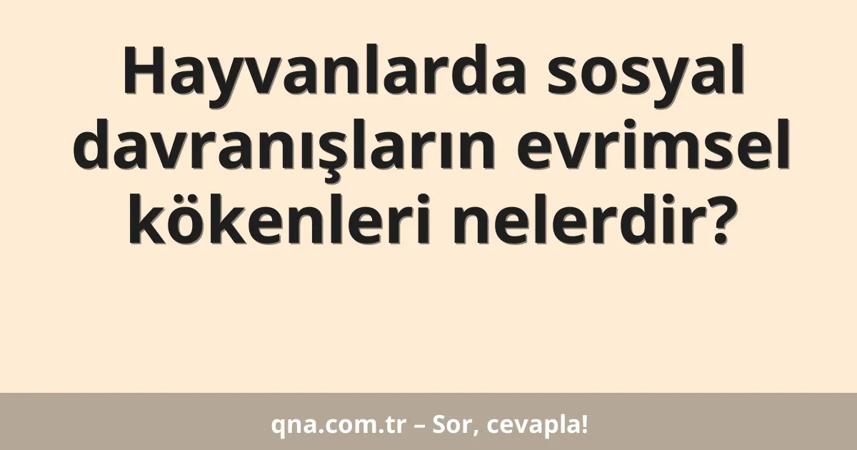Hayvanlarda sosyal davranışların evrimsel kökenleri nelerdir?