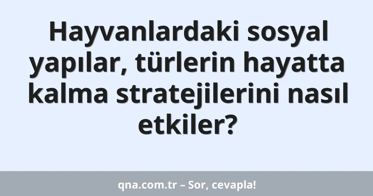 Hayvanlardaki sosyal yapılar, türlerin hayatta kalma stratejilerini nasıl etkiler?