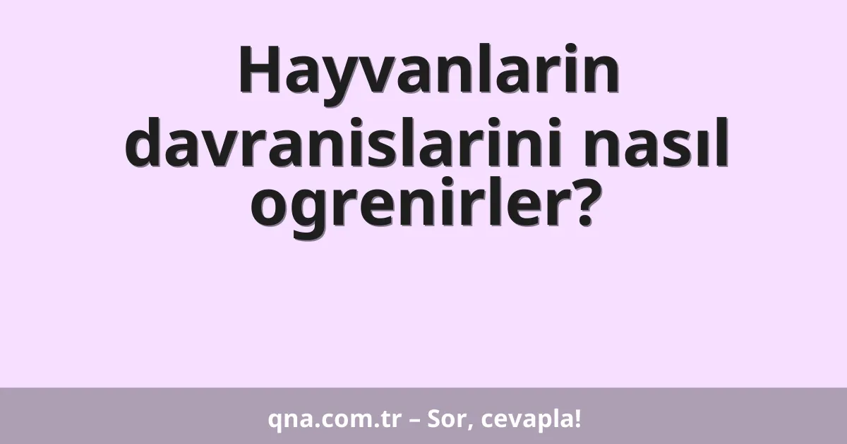 Hayvanlarin davranislarini nasıl ogrenirler?