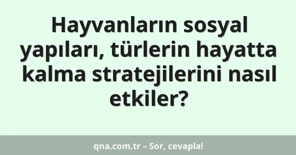 Hayvanların sosyal yapıları, türlerin hayatta kalma stratejilerini nasıl etkiler?