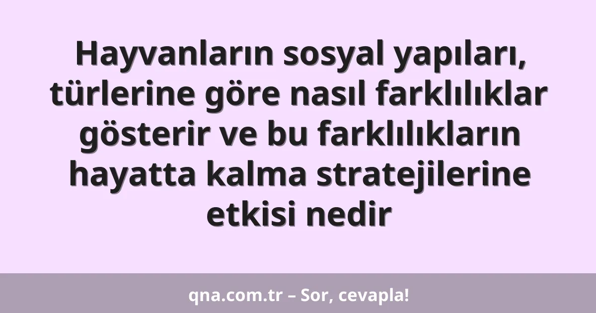 Hayvanların sosyal yapıları, türlerine göre nasıl farklılıklar gösterir ve bu farklılıkların hayatta kalma stratejilerine etkisi nedir