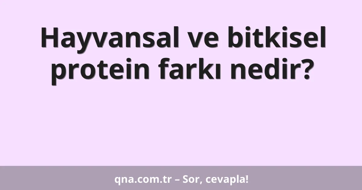 Hayvansal ve bitkisel protein farkı nedir?