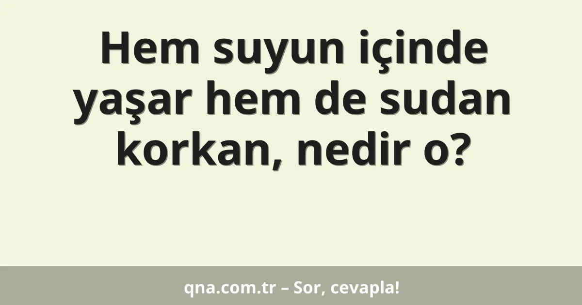 Hem suyun içinde yaşar hem de sudan korkan, nedir o?