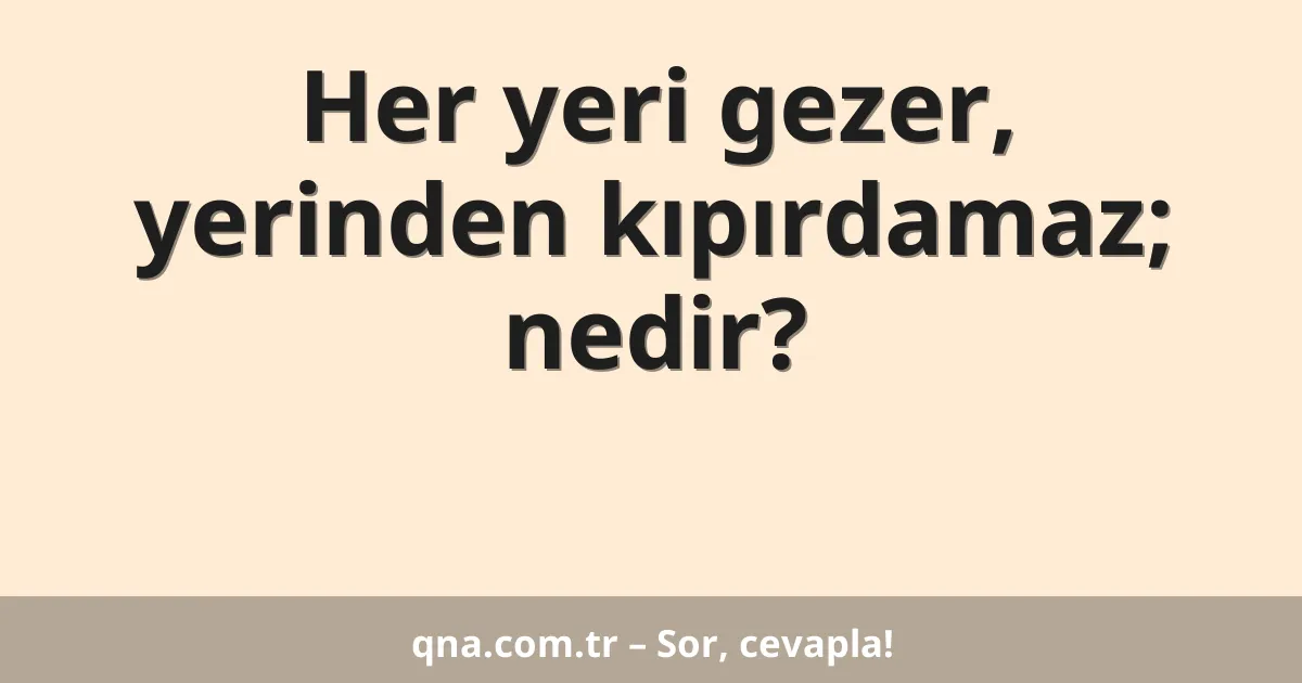 Her yeri gezer, yerinden kıpırdamaz; nedir?