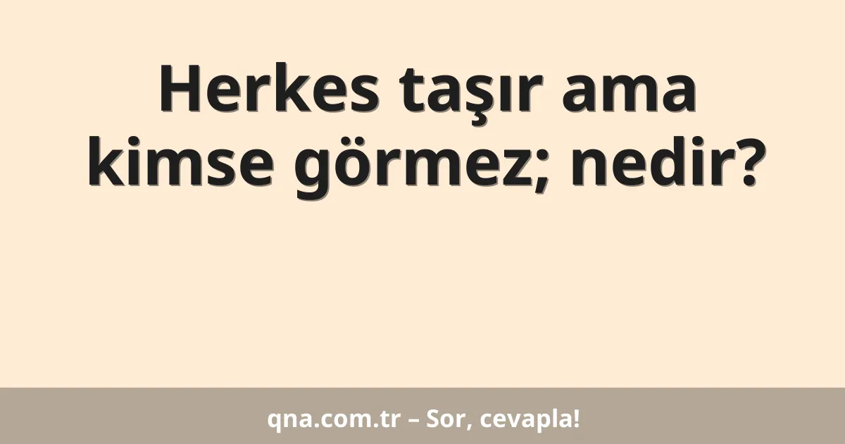 Herkes taşır ama kimse görmez; nedir?
