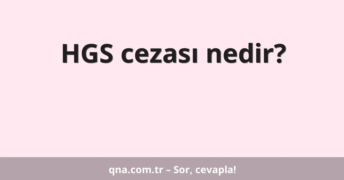 HGS cezası nedir?