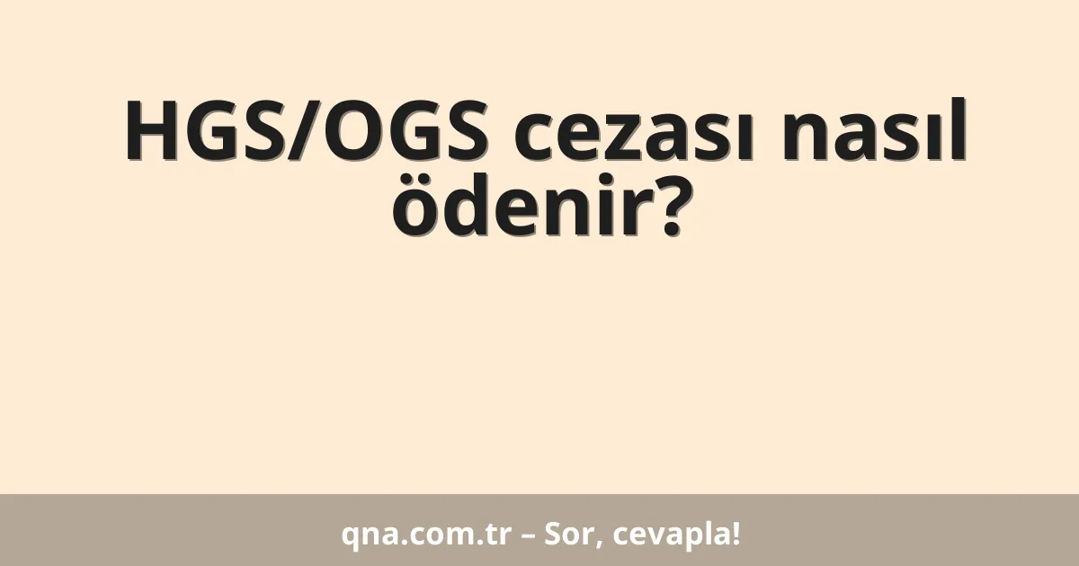 HGS/OGS cezası nasıl ödenir?