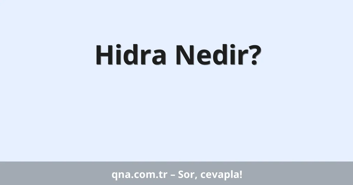 Hidra Nedir?