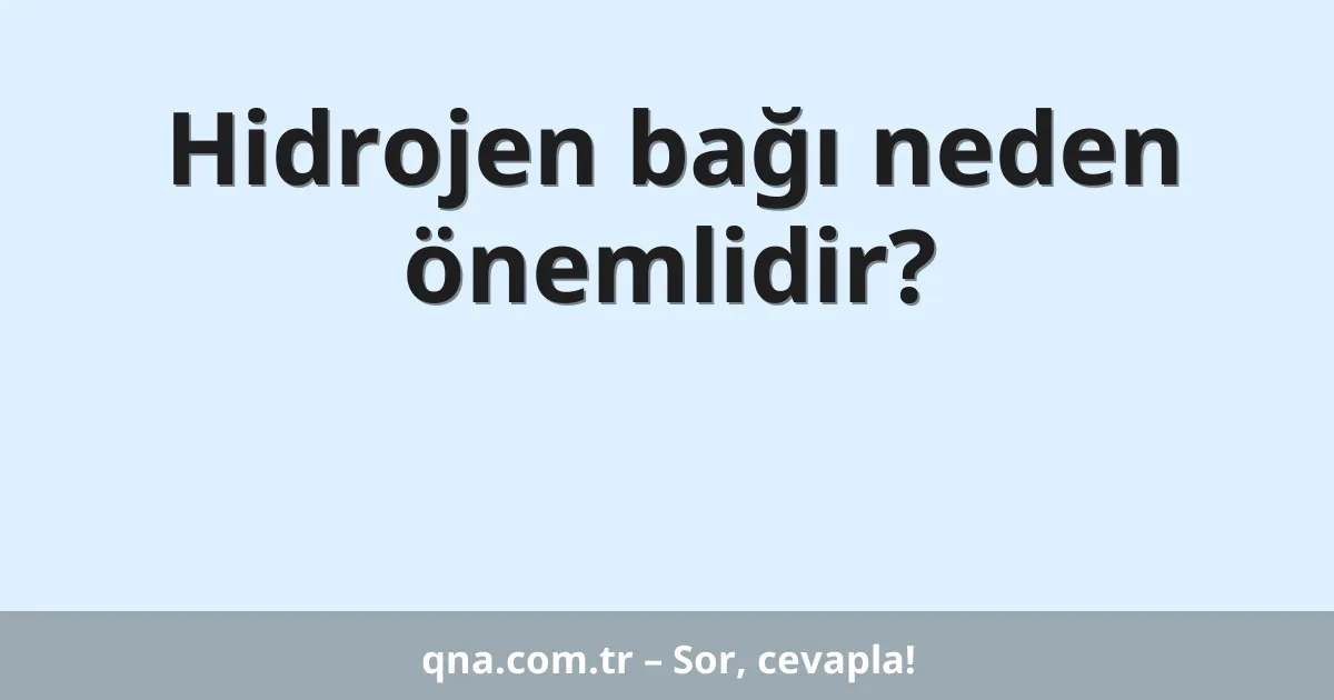 Hidrojen bağı neden önemlidir?