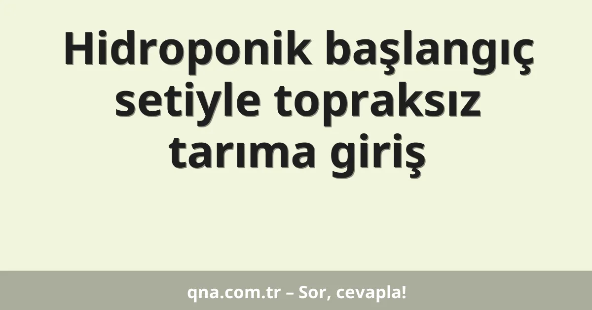 Hidroponik başlangıç setiyle topraksız tarıma giriş