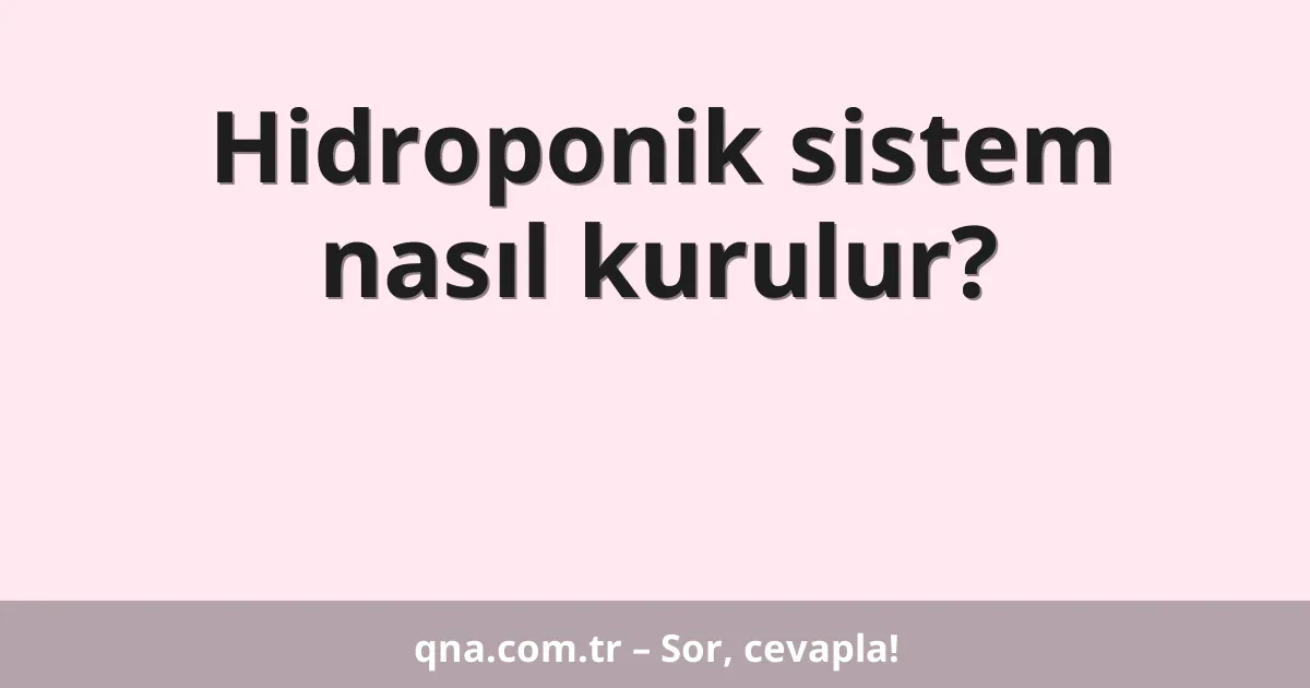 Hidroponik sistem nasıl kurulur?
