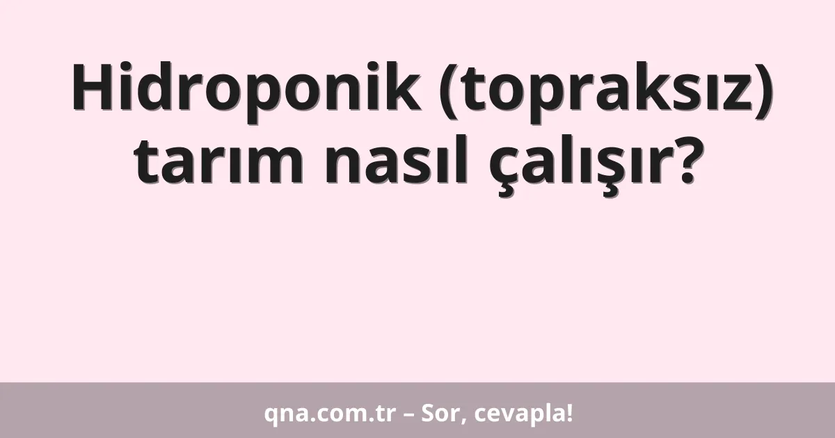 Hidroponik (topraksız) tarım nasıl çalışır?