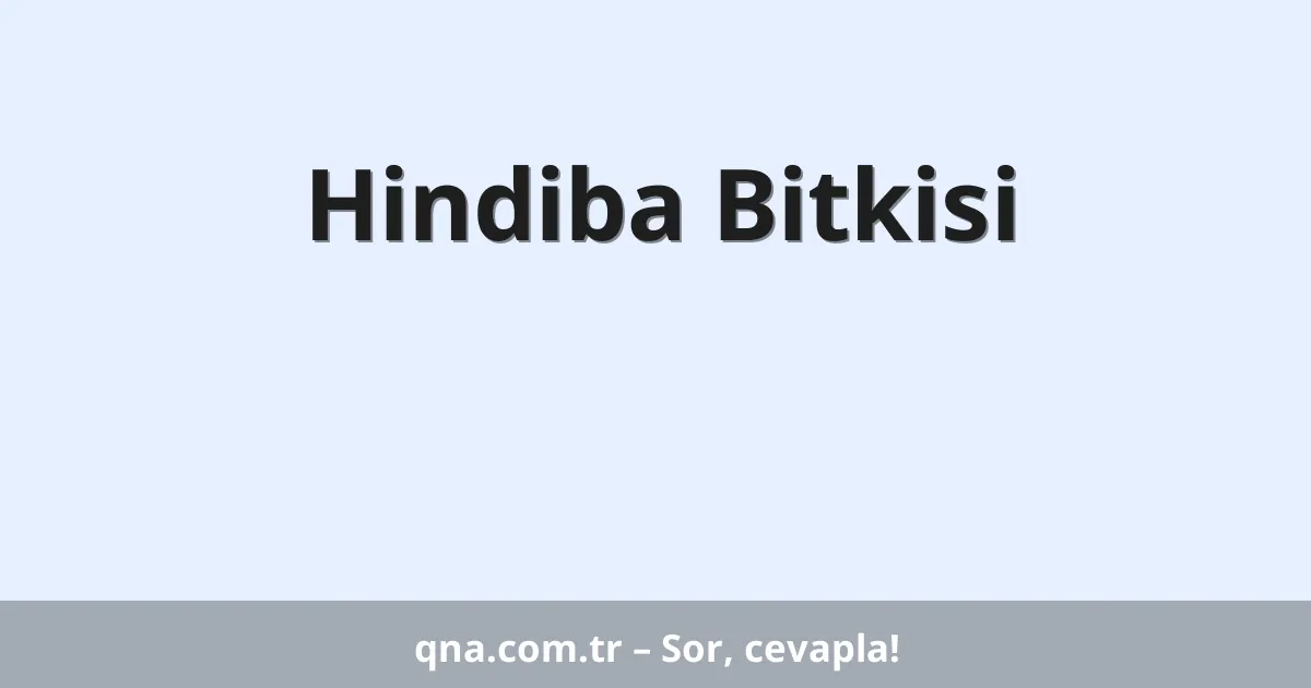 Hindiba Bitkisi