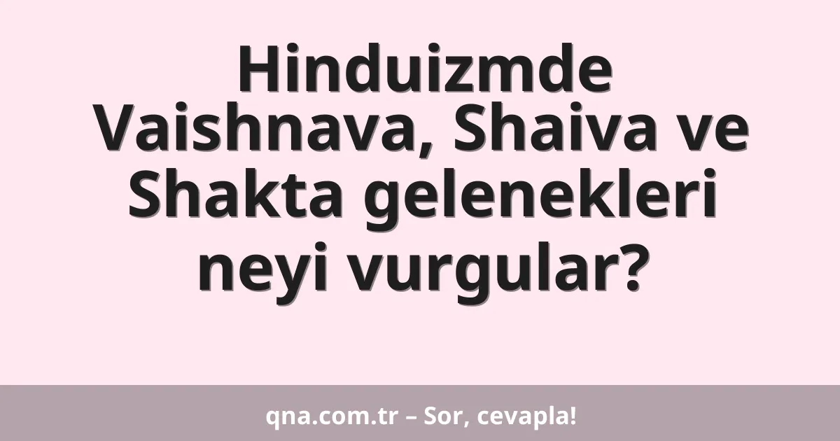 Hinduizmde Vaishnava, Shaiva ve Shakta gelenekleri neyi vurgular?
