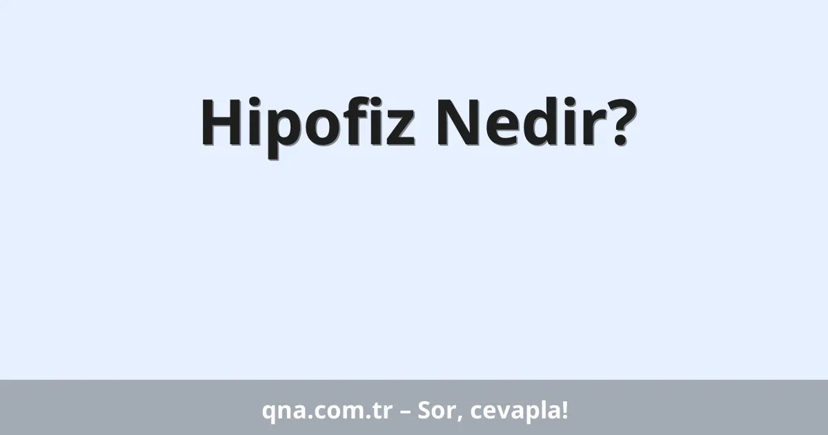 Hipofiz Nedir?