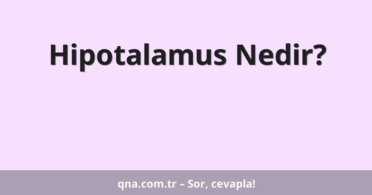 Hipotalamus Nedir?
