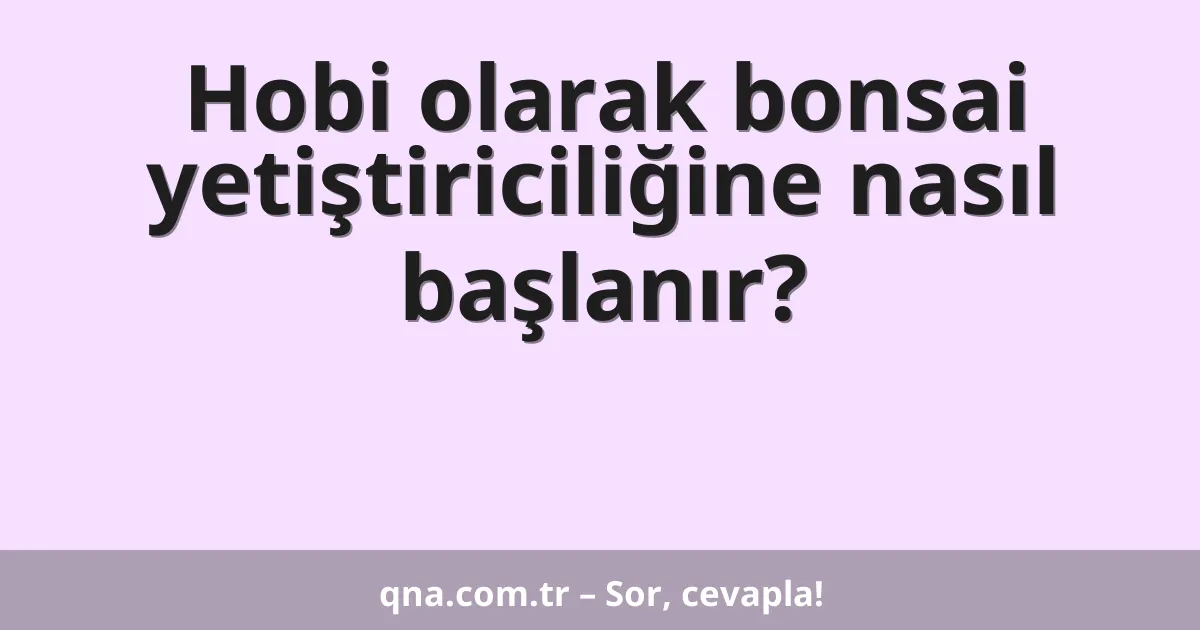 Hobi olarak bonsai yetiştiriciliğine nasıl başlanır?