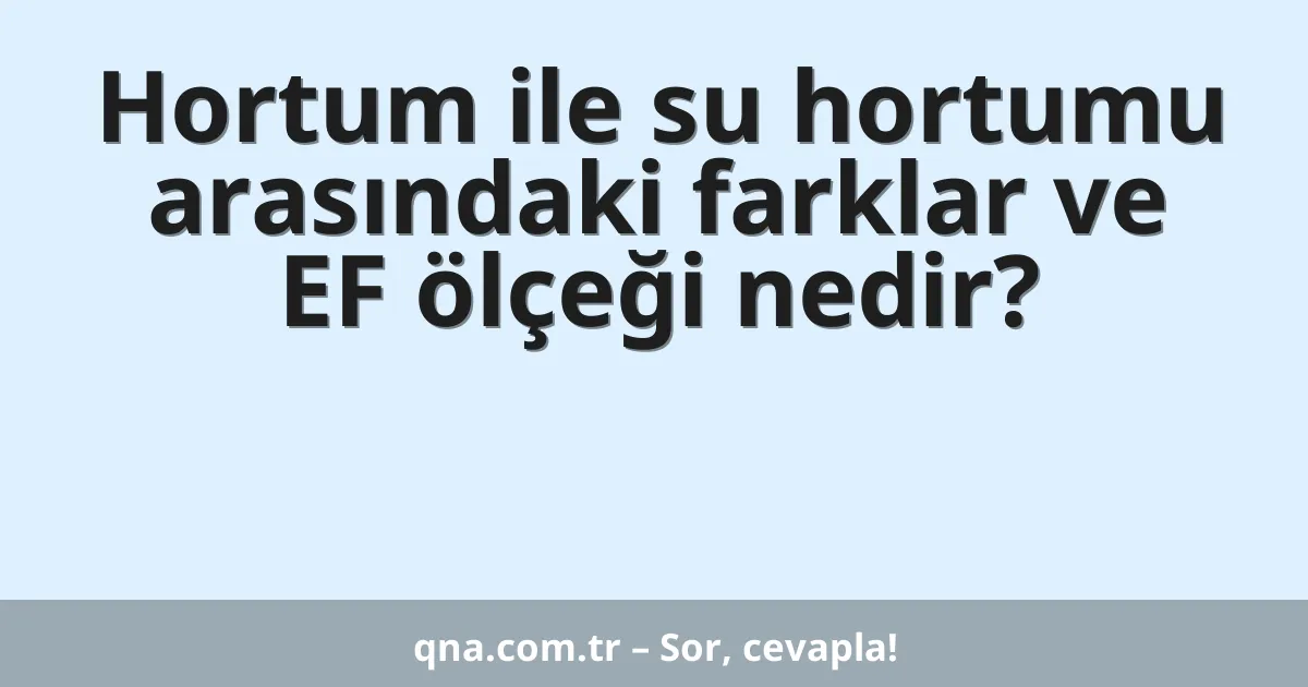 Hortum ile su hortumu arasındaki farklar ve EF ölçeği nedir?