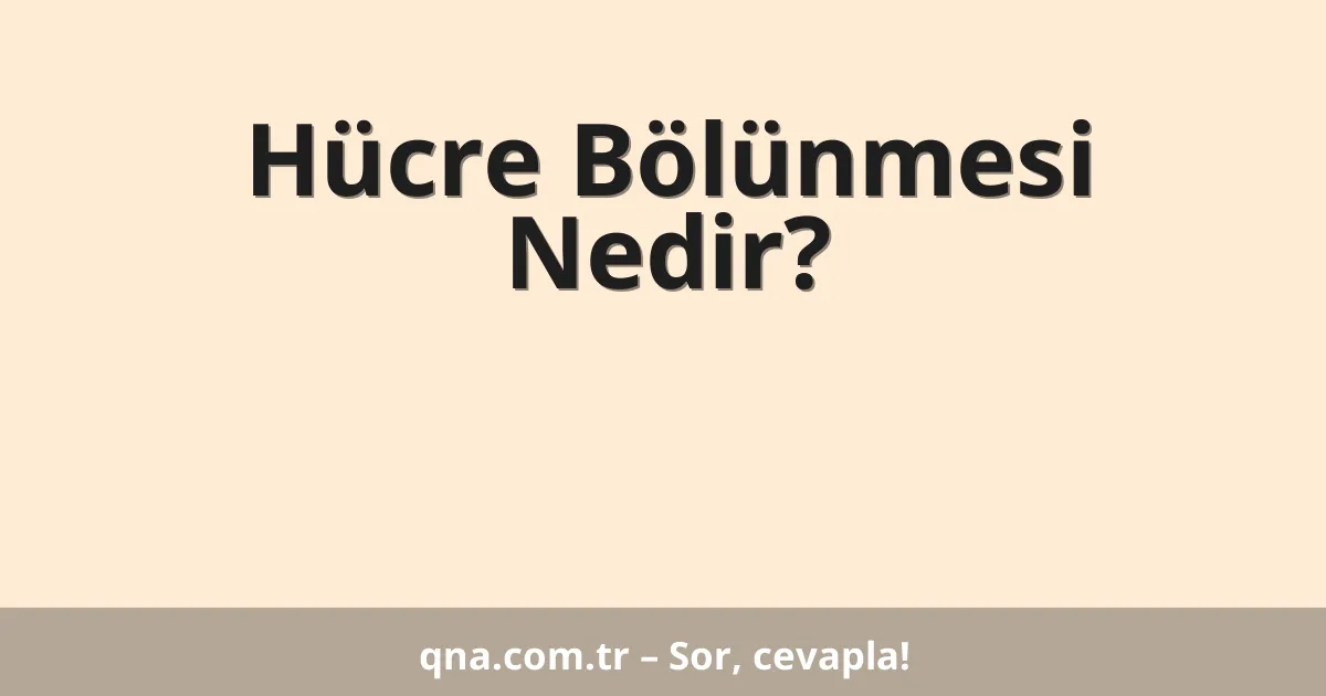 Hücre Bölünmesi Nedir?