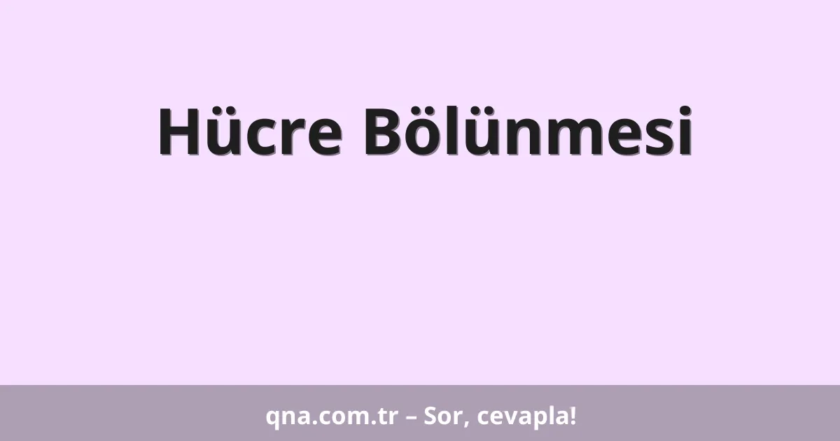Hücre Bölünmesi