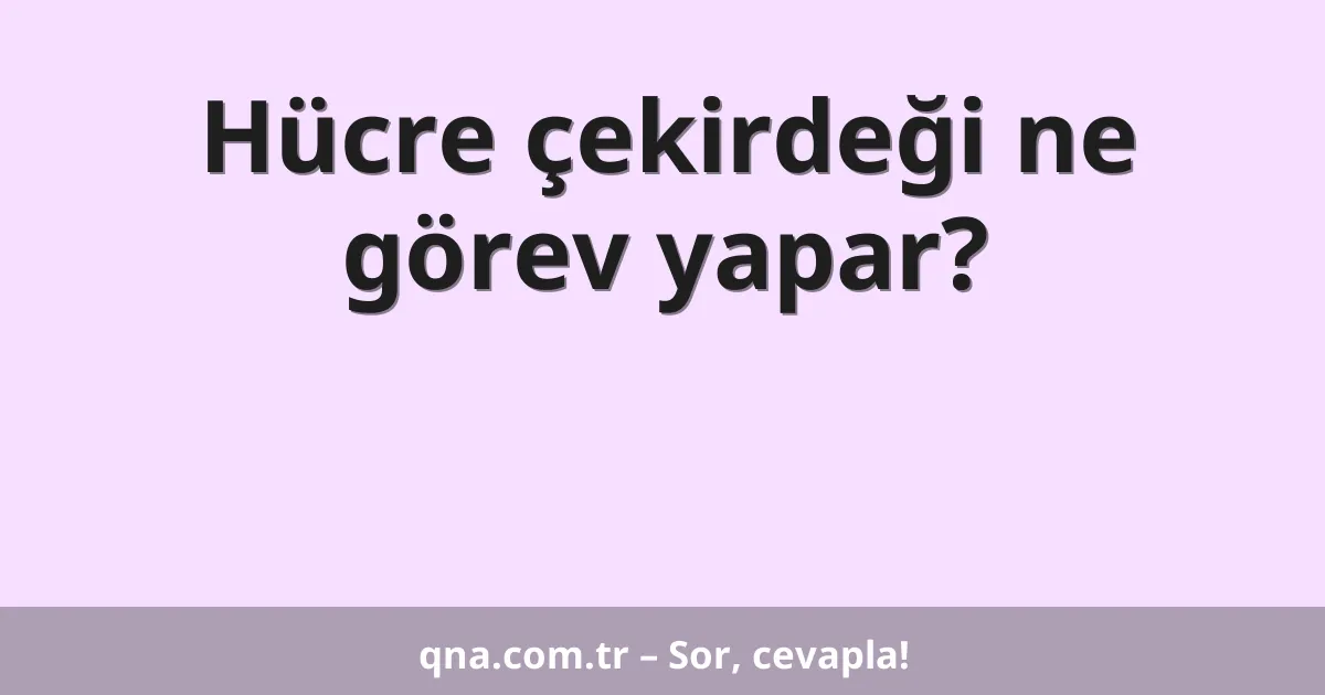 Hücre çekirdeği ne görev yapar?