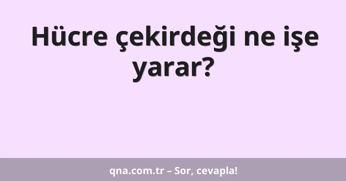 Hücre çekirdeği ne işe yarar?