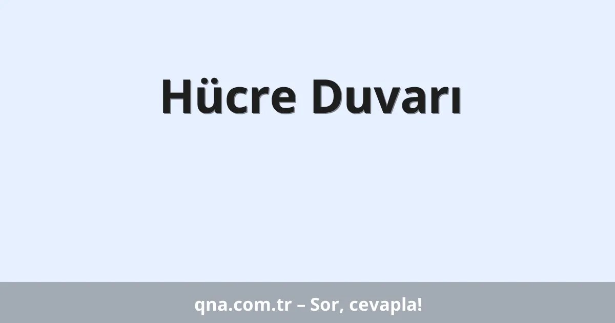Hücre Duvarı