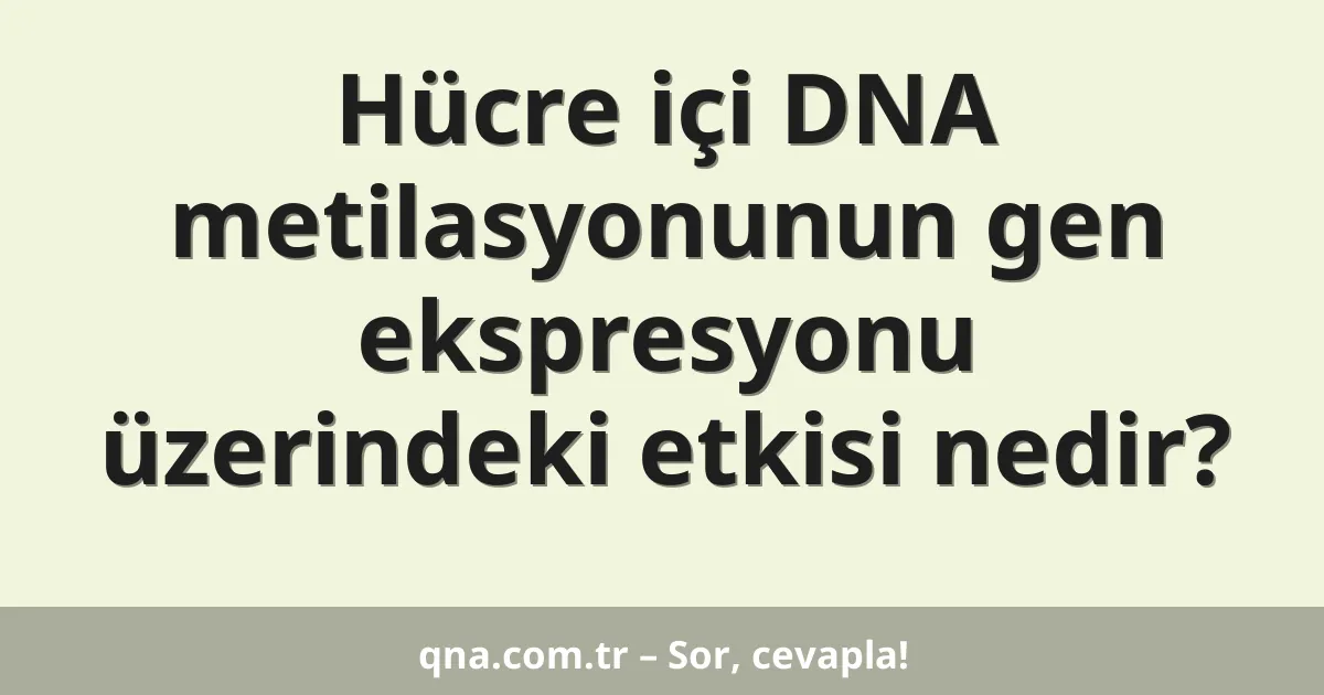Hücre içi DNA metilasyonunun gen ekspresyonu üzerindeki etkisi nedir?