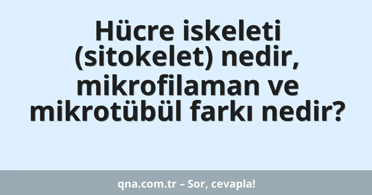 Hücre iskeleti (sitokelet) nedir, mikrofilaman ve mikrotübül farkı nedir?
