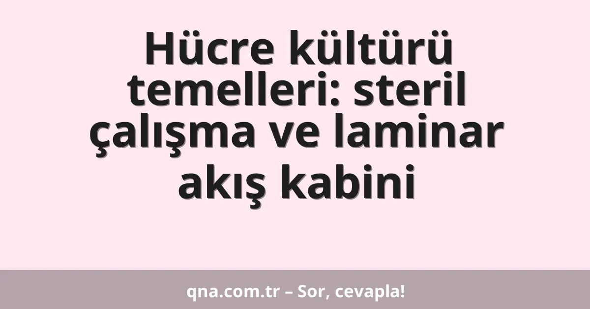 Hücre kültürü temelleri: steril çalışma ve laminar akış kabini