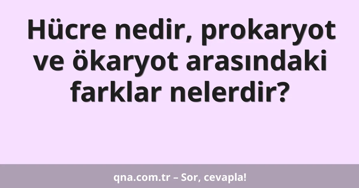 Hücre nedir, prokaryot ve ökaryot arasındaki farklar nelerdir?