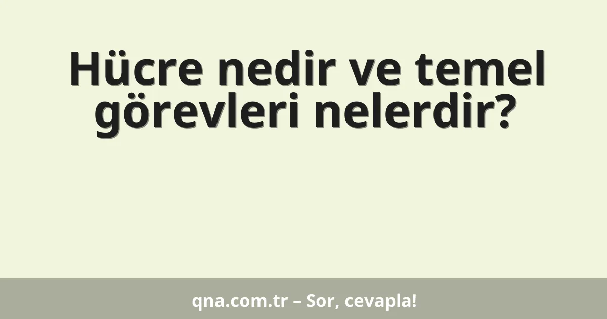 Hücre nedir ve temel görevleri nelerdir?