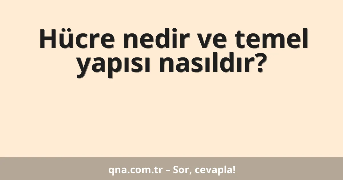 Hücre nedir ve temel yapısı nasıldır?