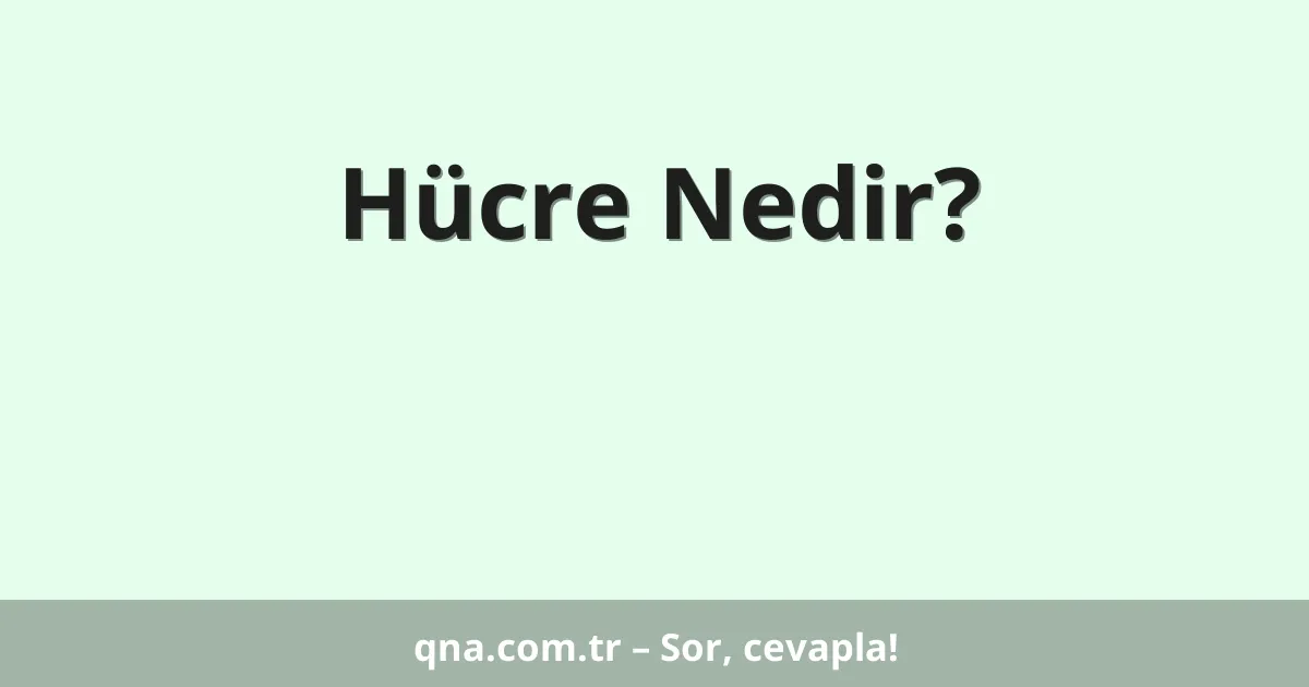 Hücre Nedir?