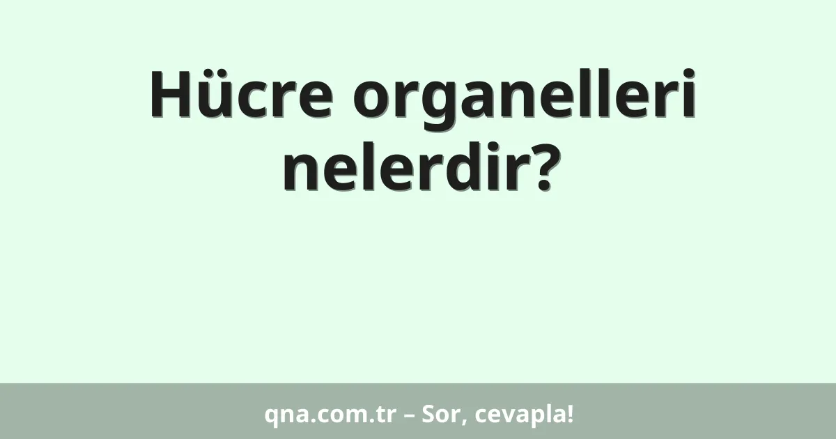 Hücre organelleri nelerdir?