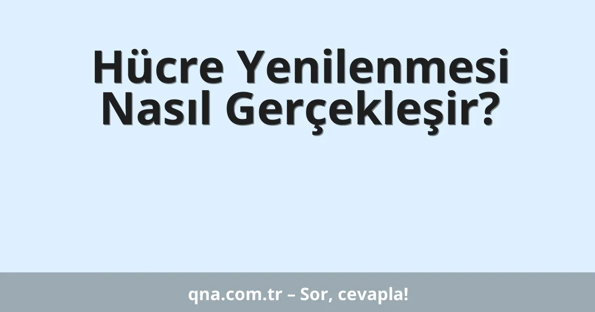 Hücre Yenilenmesi Nasıl Gerçekleşir?