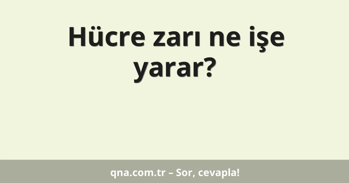 Hücre zarı ne işe yarar?