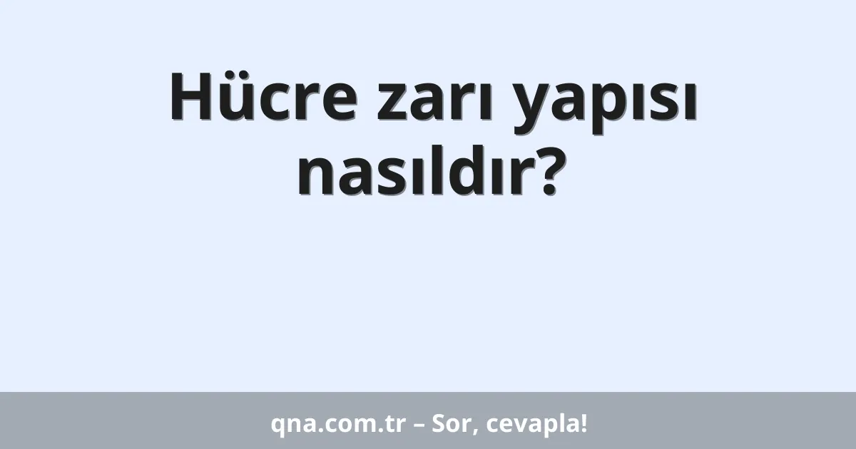 Hücre zarı yapısı nasıldır?