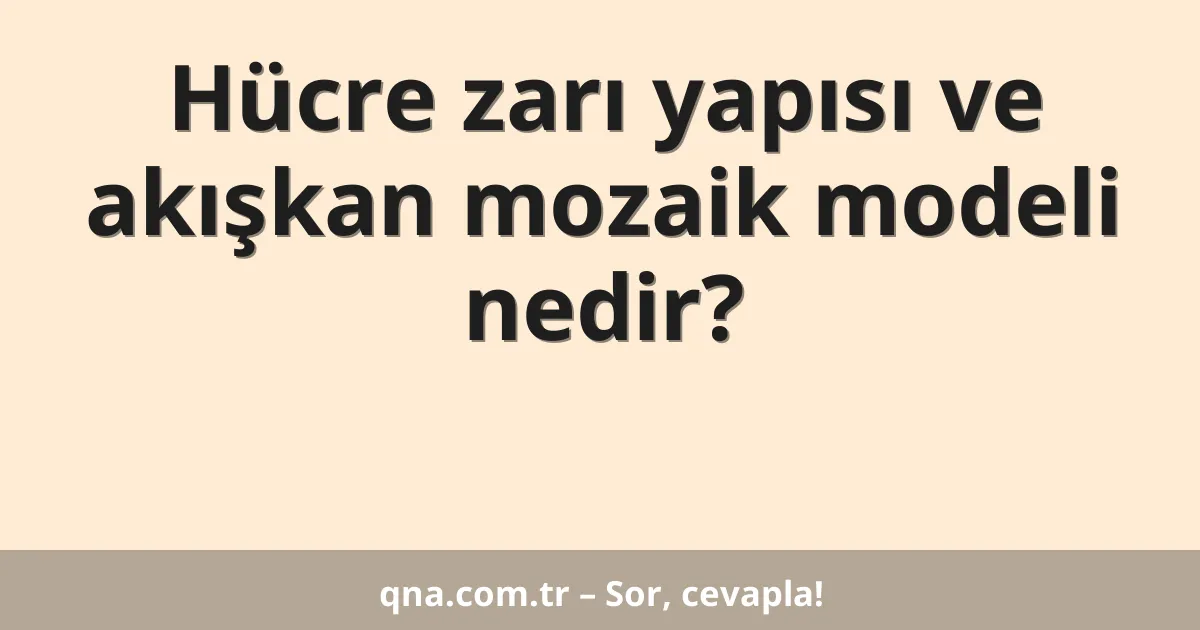 Hücre zarı yapısı ve akışkan mozaik modeli nedir?