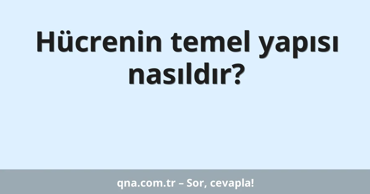 Hücrenin temel yapısı nasıldır?