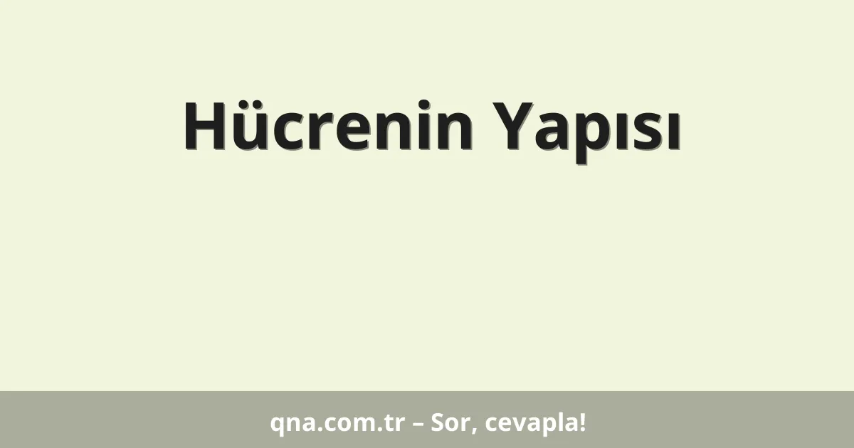 Hücrenin Yapısı