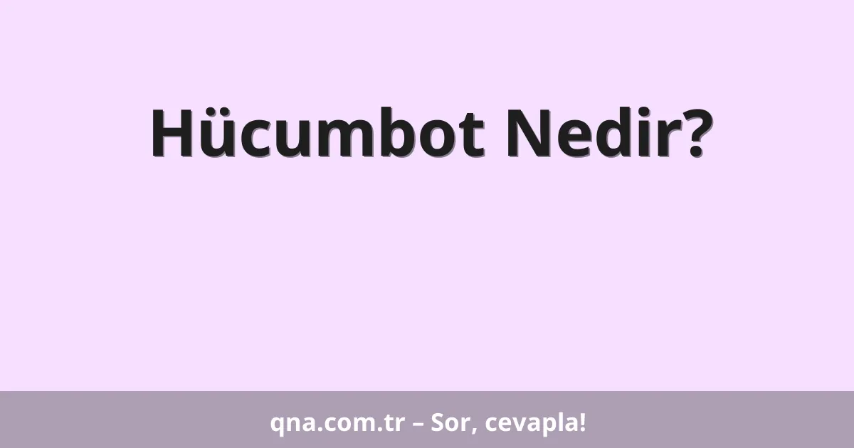 Hücumbot Nedir?