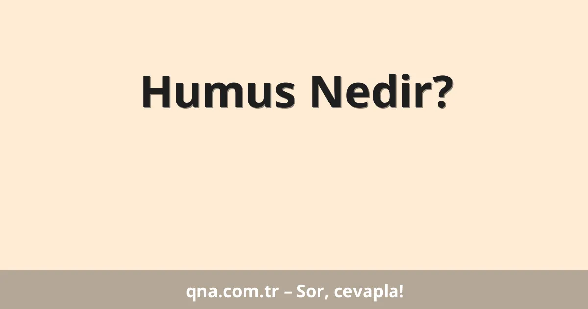 Humus Nedir?