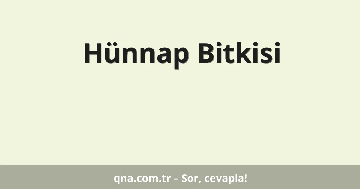 Hünnap Bitkisi