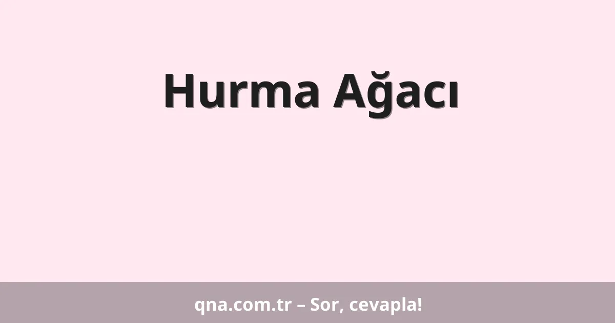 Hurma Ağacı