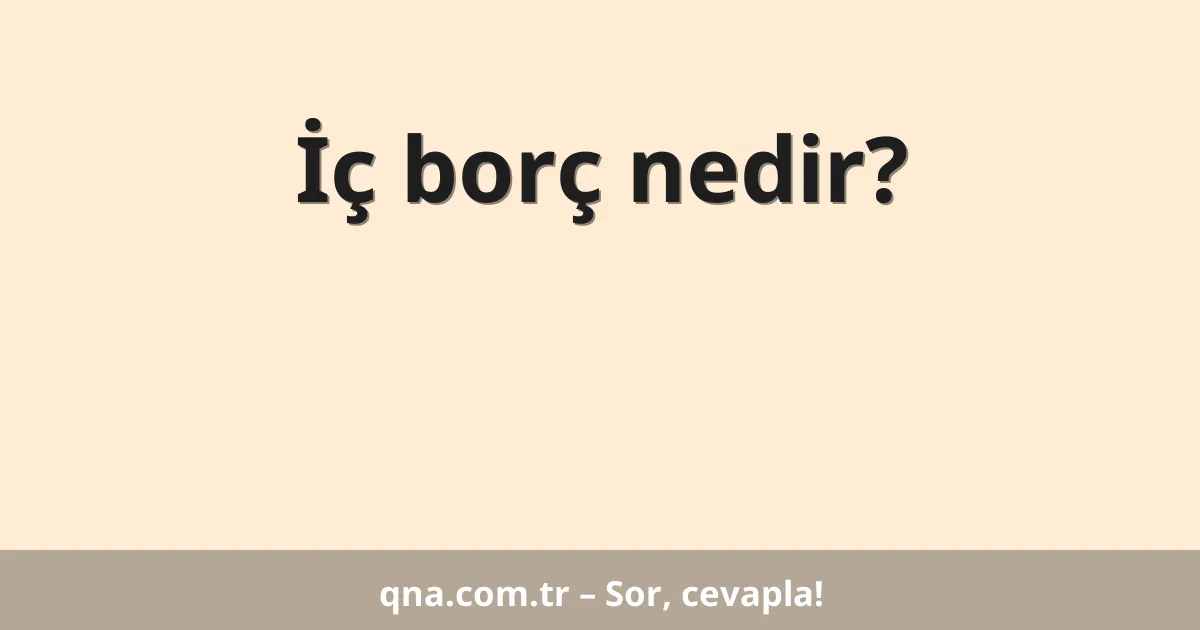 İç borç nedir?