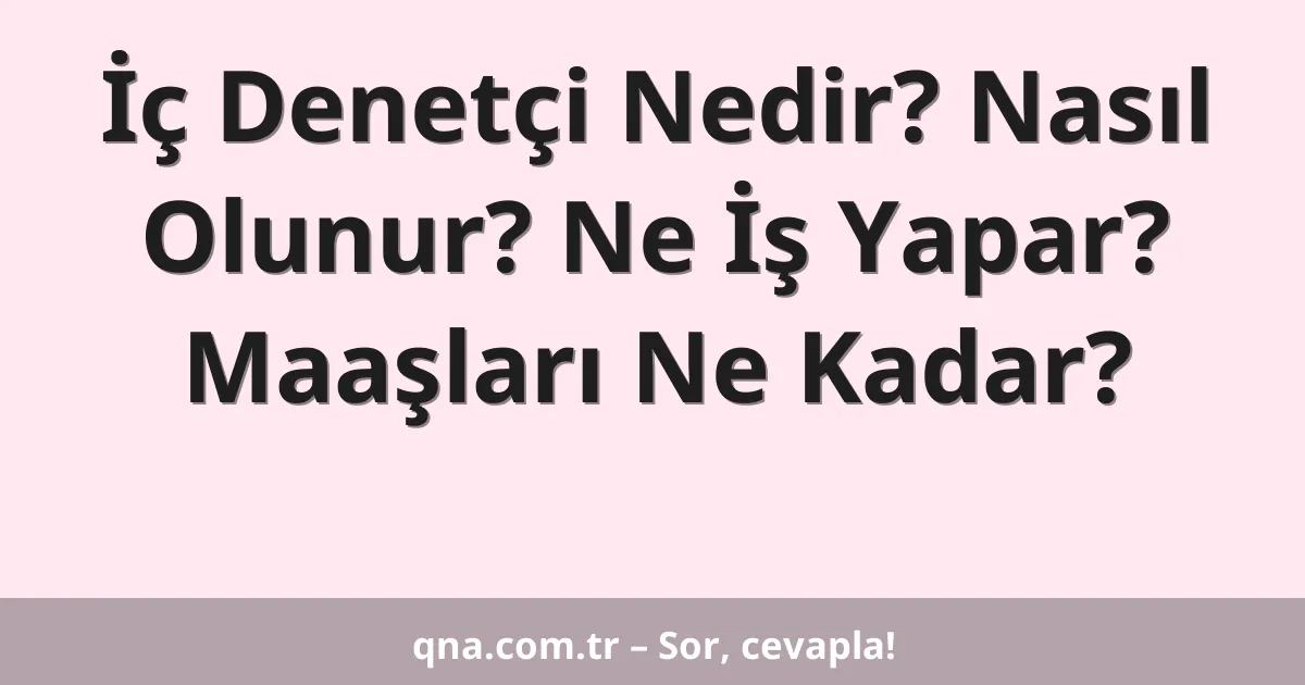 İç Denetçi Nedir? Nasıl Olunur? Ne İş Yapar? Maaşları Ne Kadar?