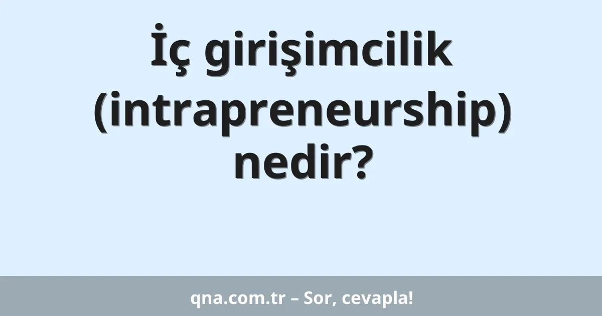İç girişimcilik (intrapreneurship) nedir?