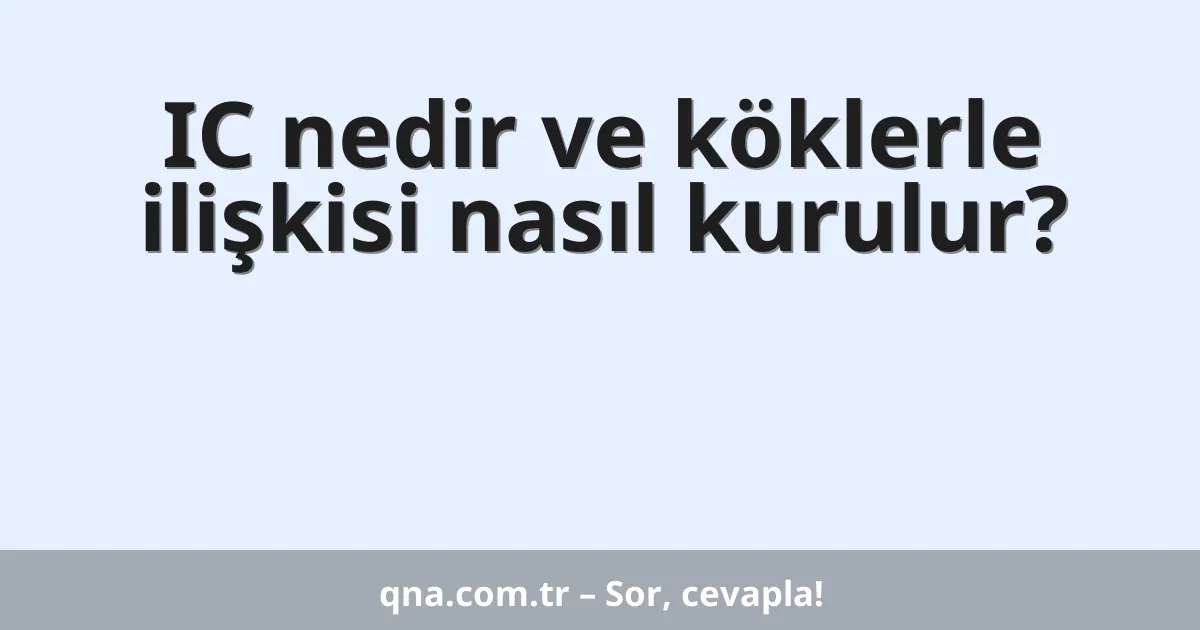 IC nedir ve köklerle ilişkisi nasıl kurulur?